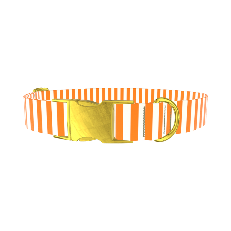 Halloween Stripes Dog Collar - metal rose gold