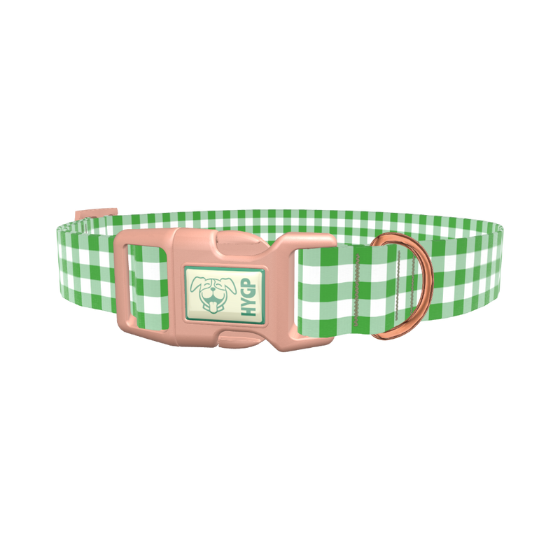 Green Plaid Dog Collar - plastic gold