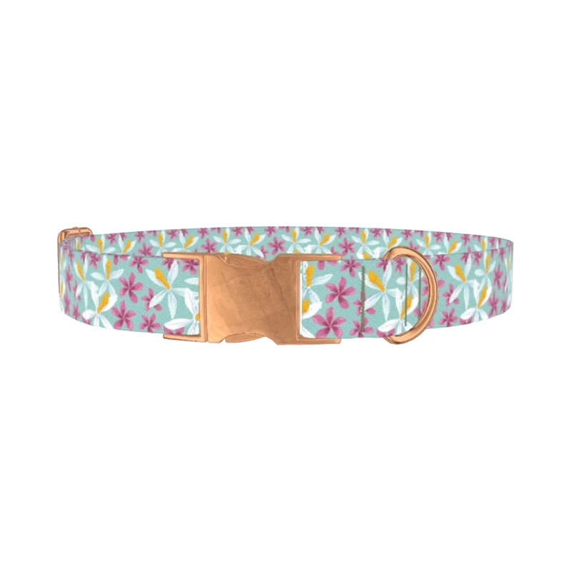 Tropical Orchid Dog Collar - metal rose gold