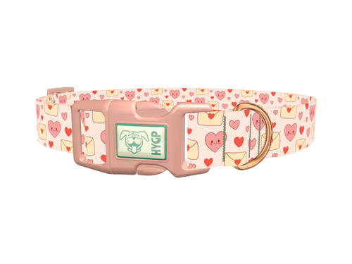 Valentine Hearts Dog Collar