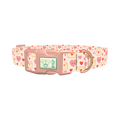Valentine Hearts Dog Collar - plastic rose gold