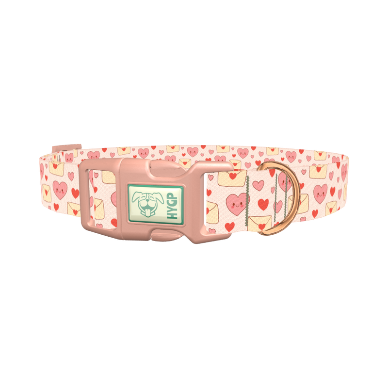 Valentine Hearts Dog Collar - plastic rose gold
