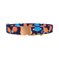 Space Planets Dog Collar - metal rose gold
