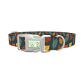 Colorful Leaf Pattern Dog Collar - plastic silver