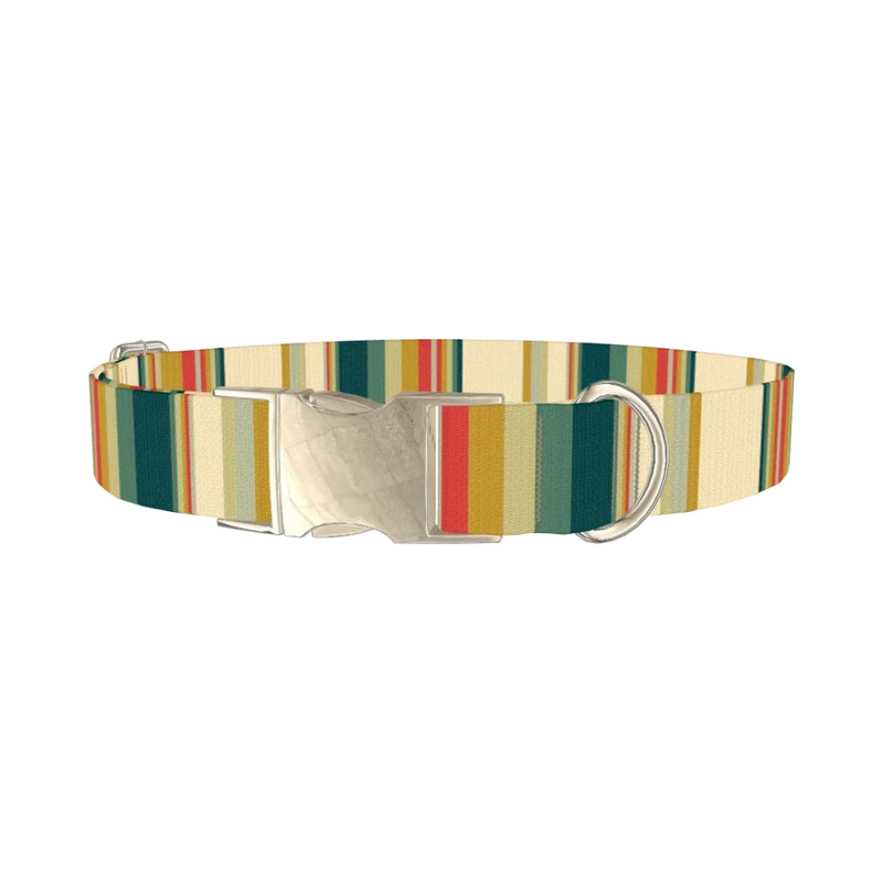 Striped Hexagon Dog Collar - metal silver