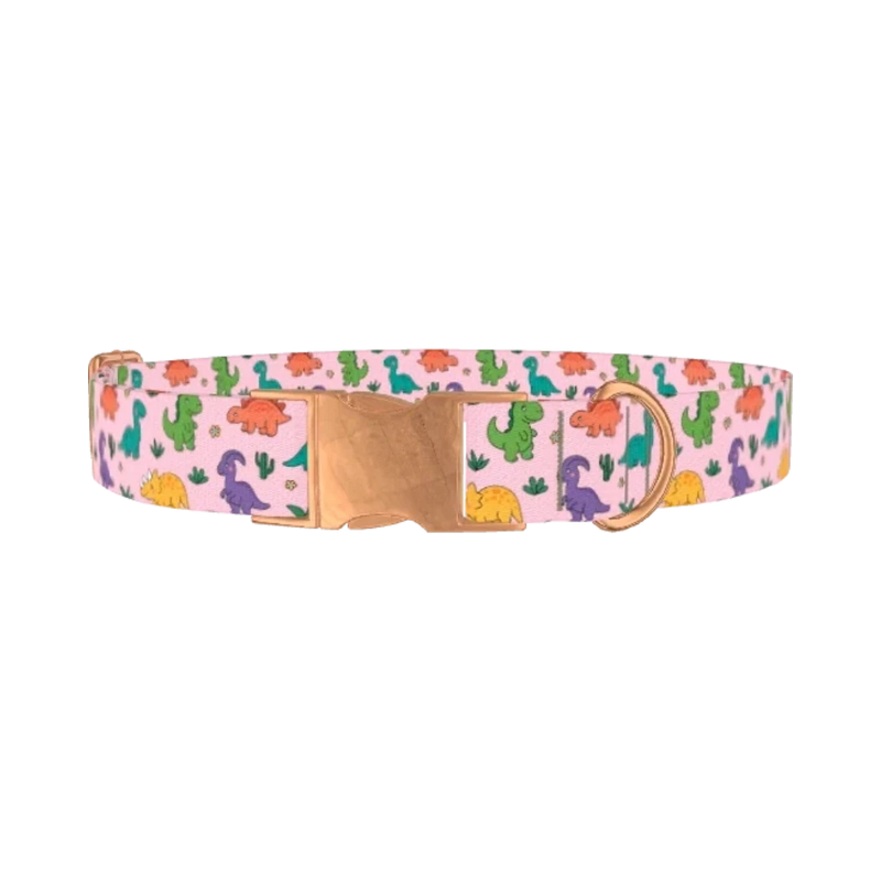 Dinosaur Mix Dog Collar - metal rose gold