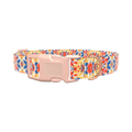 Multicolor Tie Dye Dog Collar - plastic gold