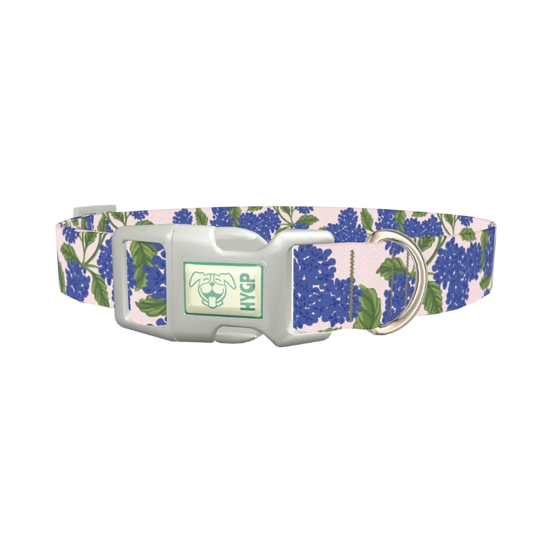 Floral Hydrangea Dog Collar - plastic silver