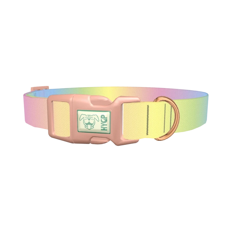 Pastel Gradient Dog Collar - plastic rose gold