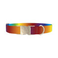 Rainbow Gradient Dog Collar - metal silver