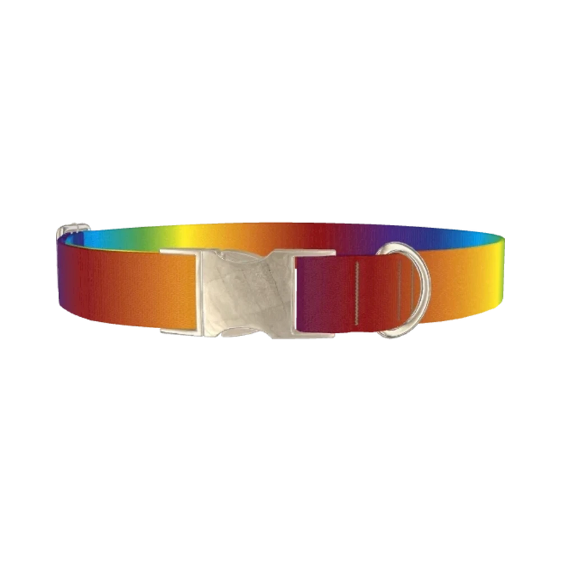 Rainbow Gradient Dog Collar - metal silver