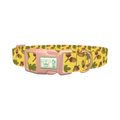 Fall Acorn Dog Collar - plastic rose gold
