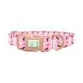 Halloween Skulls and Bats Dog Collar - plastic rose gold
