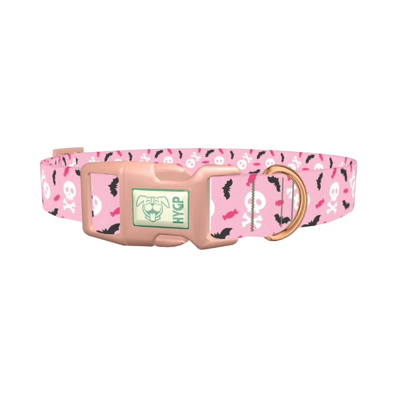 Halloween Skulls and Bats Dog Collar - plastic rose gold