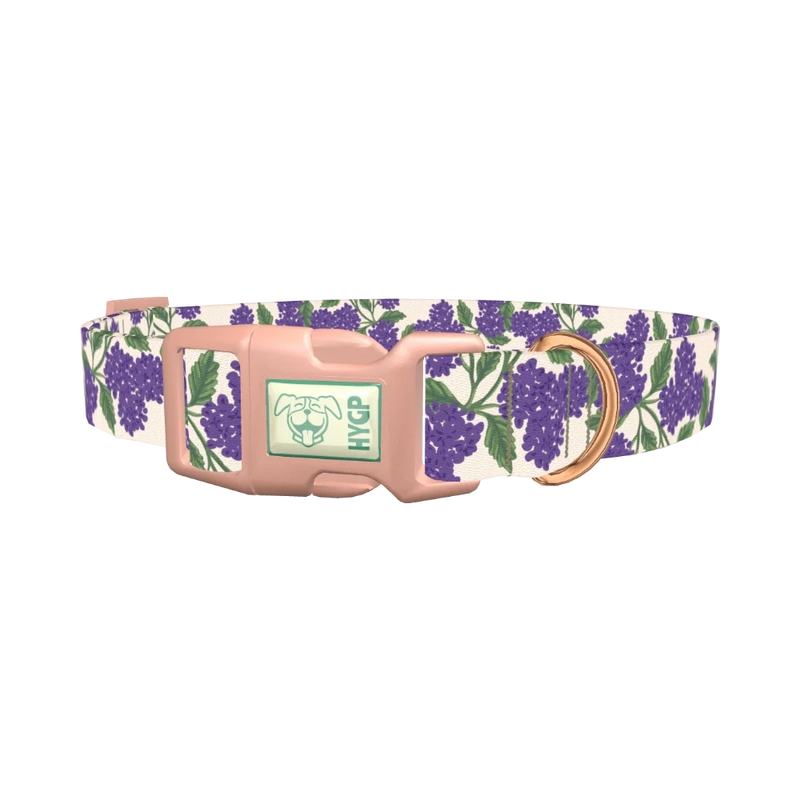 Purple Hydrangea Dog Collar - plastic rose gold