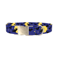 Halloween Night Dog Collar - metal silver