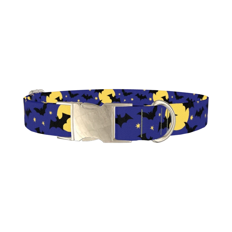 Halloween Night Dog Collar - metal silver