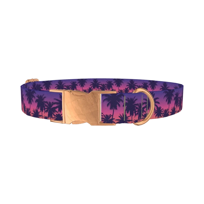 Tropical Sunset Dog Collar - metal rose gold