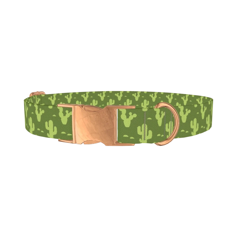 Cactus Desert Dog Collar - metal rose gold