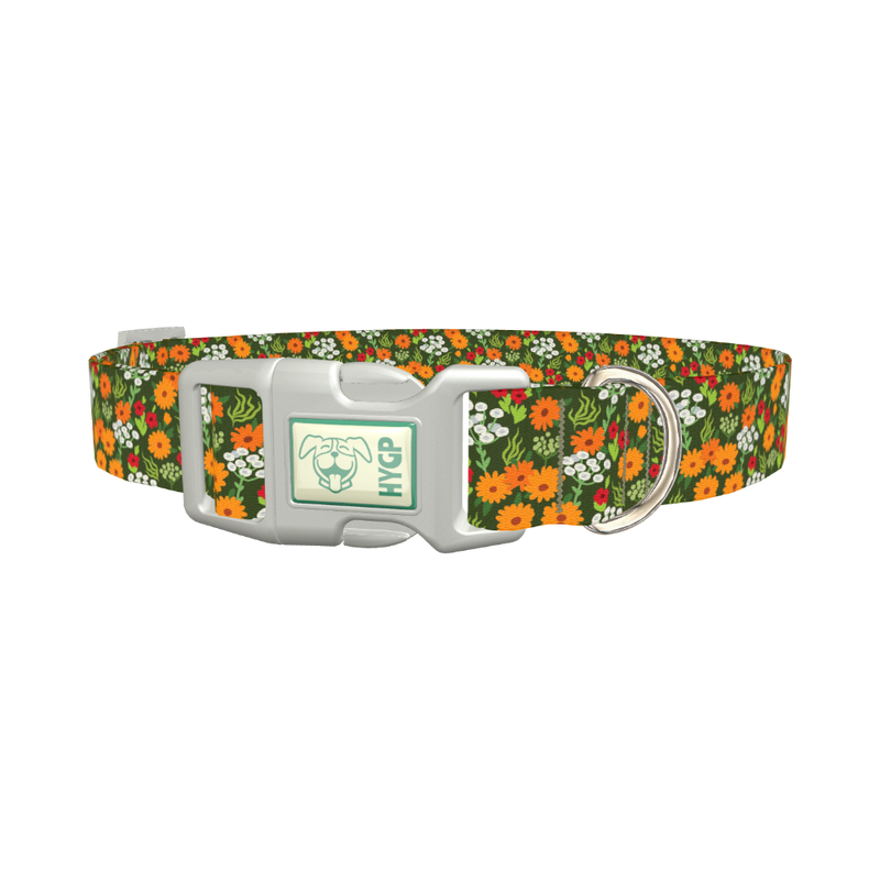 Bright Meadow Flowers Dog Collar - plastic silver