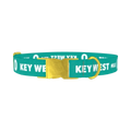 Key West Mile 0 Dog Collar - metal gold