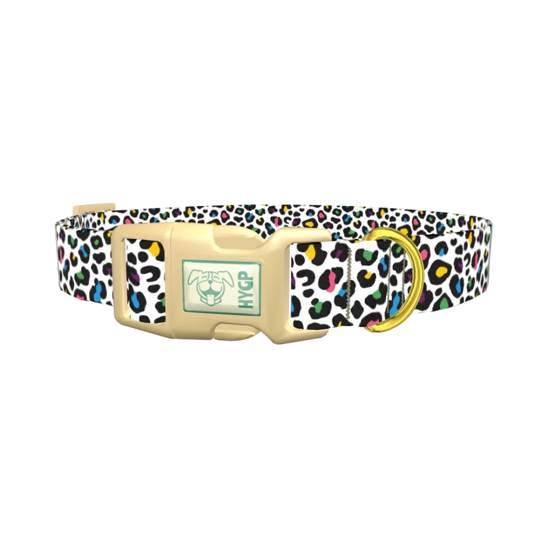 Colorful Leopard Dog Collar - plastic gold