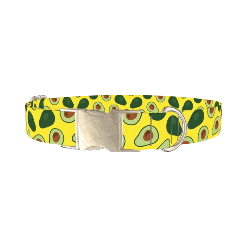 Avocado Fruit Dog Collar - metal silver