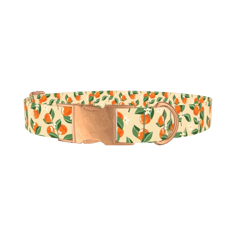 Floral Fruit Dog Collar - metal rose gold