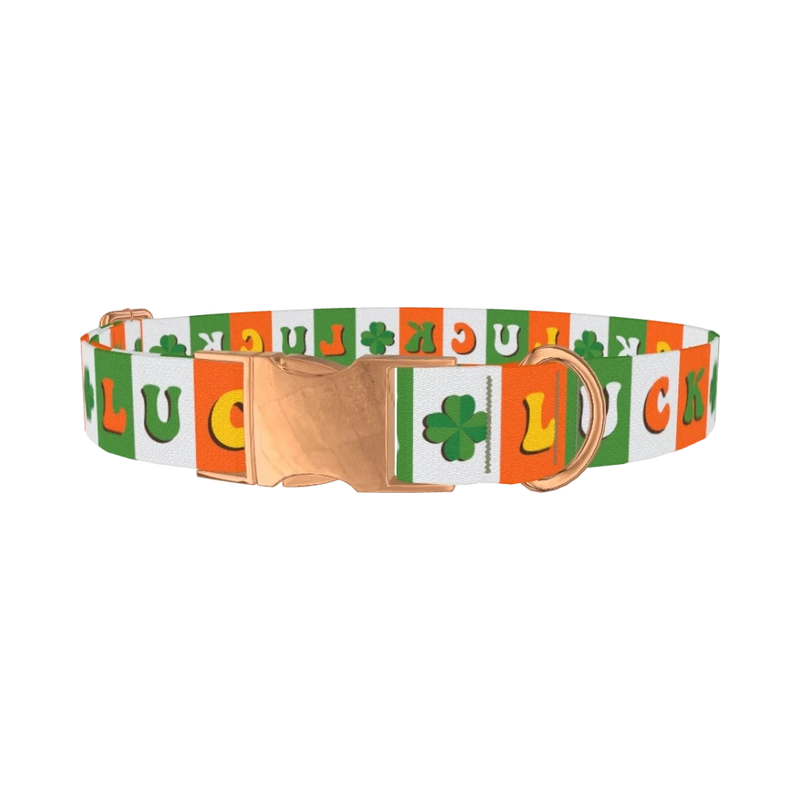 Lucky Clover Dog Collar - metal rose gold