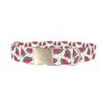 Watermelon Fruit Dog Collar - metal silver