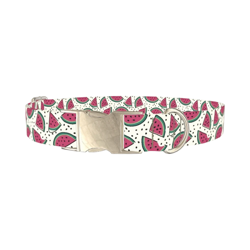 Watermelon Fruit Dog Collar - metal silver