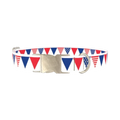 Patriotic Stars and Stripes Dog Collar - metal silver