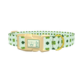 Dotted Clover Line Dog Collar - plastic gold