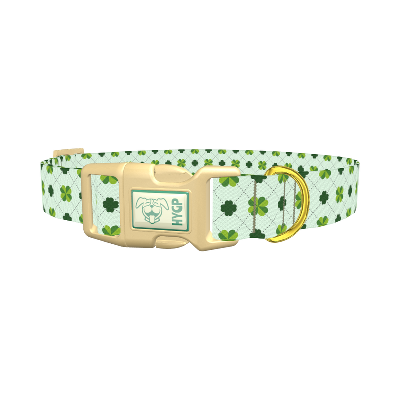 Dotted Clover Line Dog Collar - plastic gold