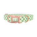 Light Green Heart Dog Collar - plastic rose gold