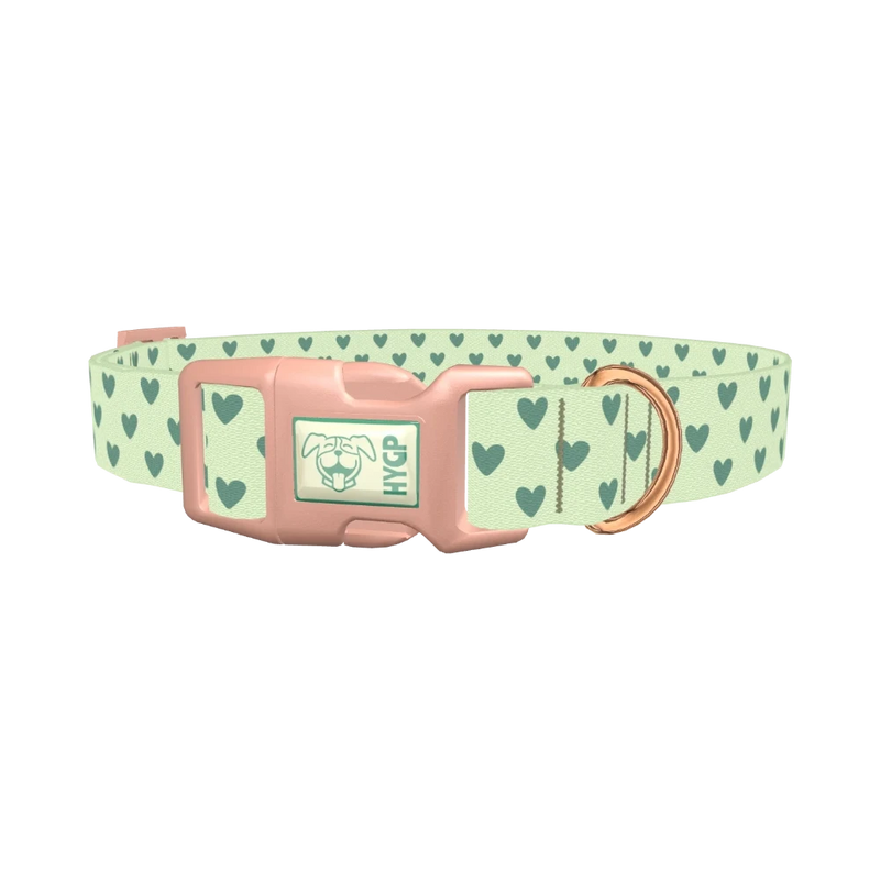 Light Green Heart Dog Collar - plastic rose gold