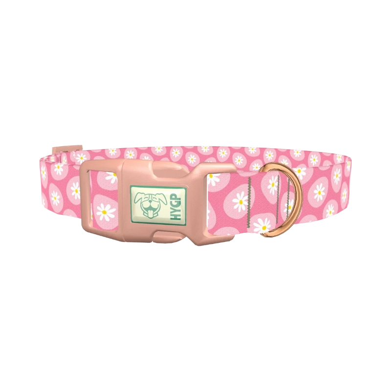 Easter Egg Daisy Dog Collar - plastic rose gold