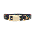 Space Planet Dog Collar - plastic silver