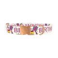 Birthday Celebration Dog Collar - metal rose gold