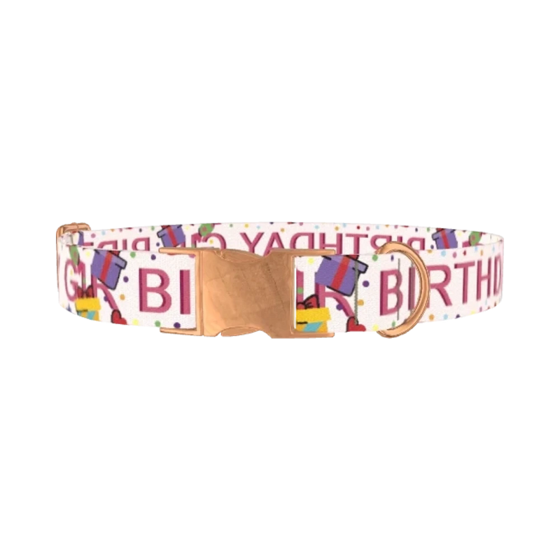 Birthday Celebration Dog Collar - metal rose gold