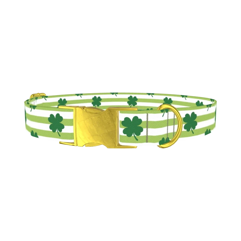 Clover Stripe Dog Collar - plastic gold