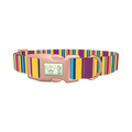 Yellow Purple Stripe Dog Collar - plastic rose gold