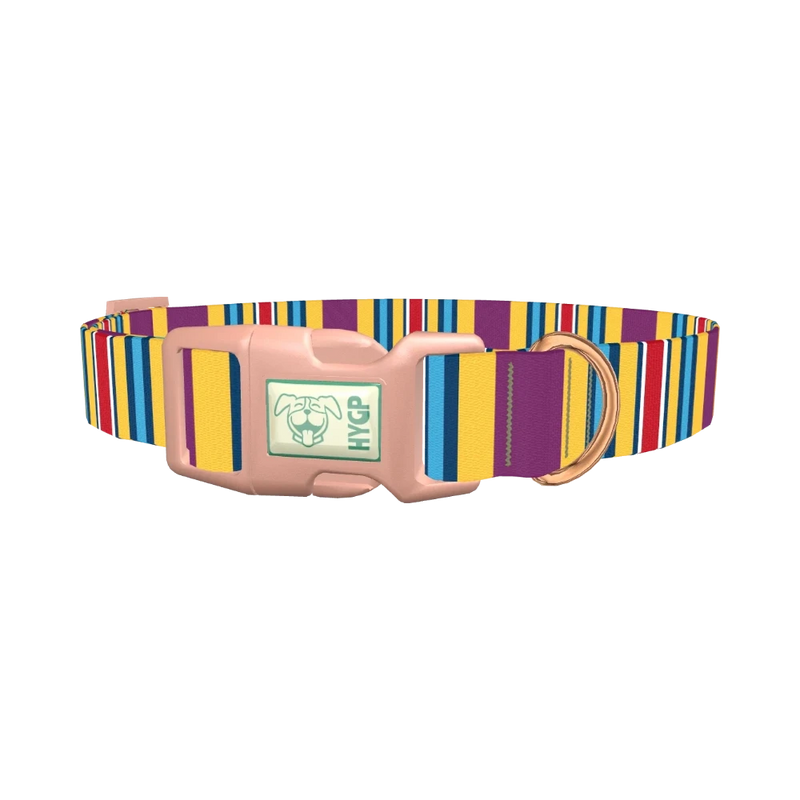 Yellow Purple Stripe Dog Collar - plastic rose gold