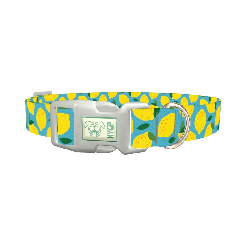 Blue Lemon Pattern Dog Collar - plastic silver