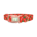 Festive Bows and Candy Canes Dog Collar - plastic rose gold