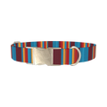 Colorful Stripe Dog Collar - metal silver