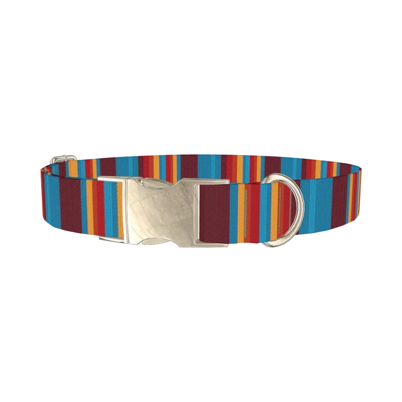 Colorful Stripe Dog Collar - metal silver