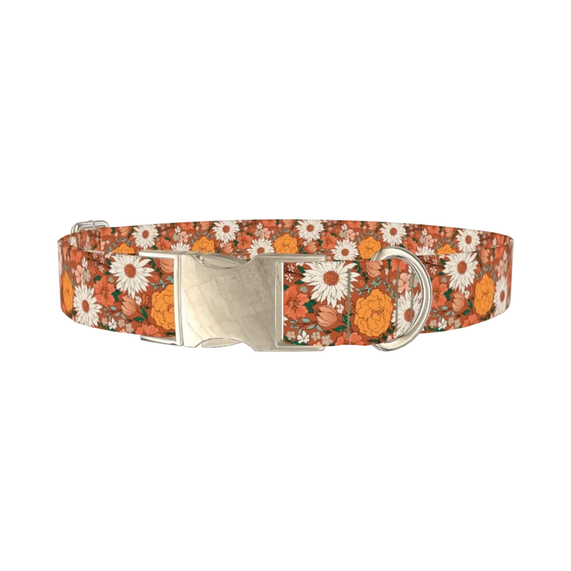 Autumn Floral Dog Collar - metal silver