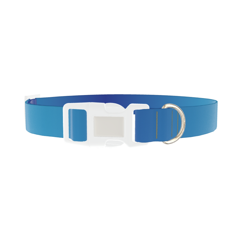 Oceanic Gradient Dog Collar - plastic silver