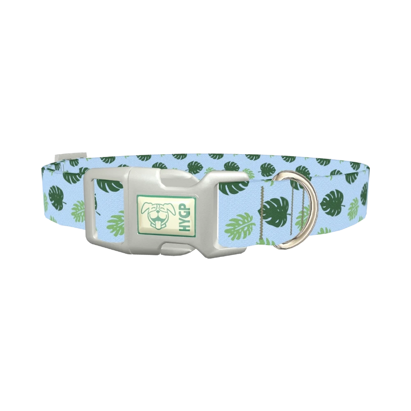 Tropical Jungle Leaves Dog Collar - plastic silver
